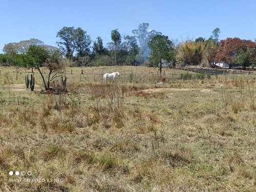 Imagem 9 de 9 de Chácara 2 Alqueires, Fácil Acesso, 3 Km Do Centro De Angatuba, Pasto - Ch00143 - 70038800