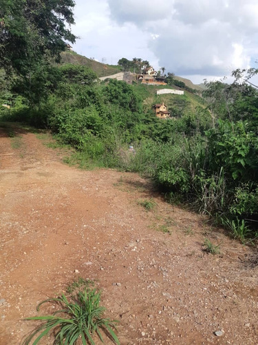 Parcela En Venta Urbanización  Loma Brisa, Vía Colonia Tovar, La Victoria. Estado Aragua