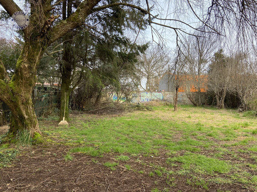 Arrendamos Espaciosa Casa En La Ciudad De Valdivia.