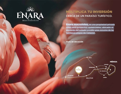 Imagen 2 de 4 de Macro Lotes En Venta En Enara Tetiz, Mérida Yucatán