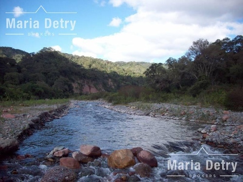 Imagen 5 de 6 de Venta Campo - Metan Viejo 7200 Ha