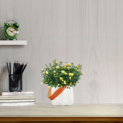Florero De Escritorio, Jarrón Estético, Maceta Portátil Euro