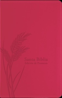 Biblia/rvr1960/manual/imitacion/letra Grande/turquesa