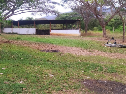 Imagen 5 de 14 de Finca En Yaracuy Municipio Bruzual Cumaripa