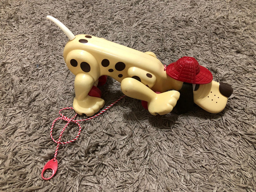 Cachorro Xereta Antigo Estrela (Usado)