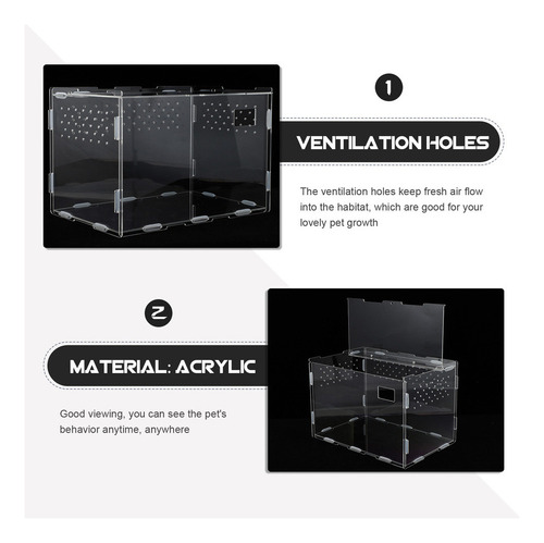 Práctica Caja De Alimentación Para Reptiles, Vitrina Para La