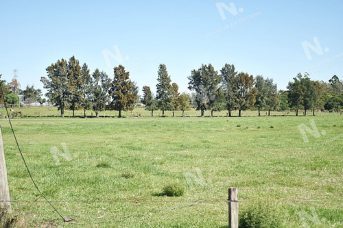 Imagen 15 de 19 de Chacra San Carlos Ruta 9 - San Carlos San Carlos