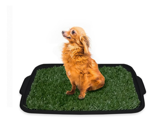 Bandeja Sanitaria Alfombra Baño Perros Tricapa 39x50