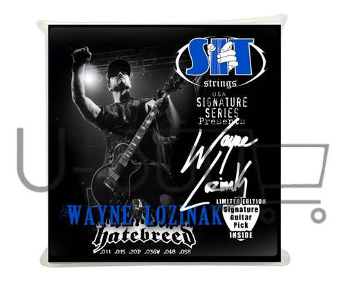 Cuerdas Para Guitarras Sit Strings Wayne Lozinak S1158wl