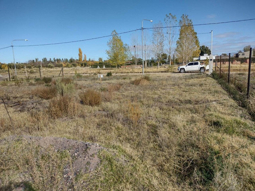 Imagen 2 de 6 de Vendo Lote De 1000 Metros Cerrito