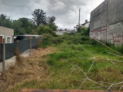 Imagen 5 de 7 de Terreno