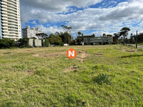 Imagen 5 de 8 de Impresionante Terreno De 4857m2 Para La Venta - Punta Del Este Brava