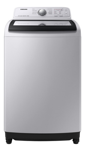 Lavadora Samsung  Con Tecnología Digital Inverter, 19 Kg Color Gris 120V