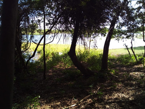 Imagen 6 de 15 de Vendo Pequeño Bosque Sobre El Río Corriente En La Ciudad De Esquina!!!!
