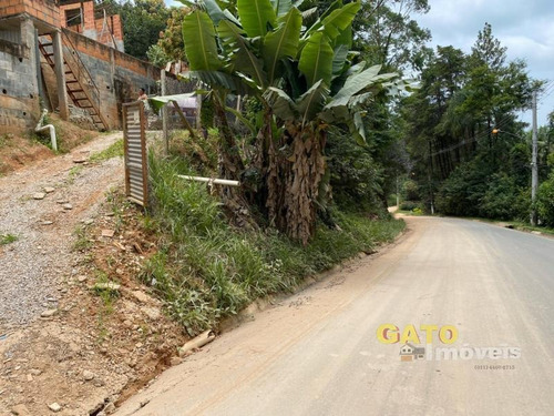 Imagem 11 de 12 de Chácara Para Venda Em Cajamar, Ponunduva, 5 Dormitórios, 2 Banheiros, 4 Vagas - 19263_1-1330710