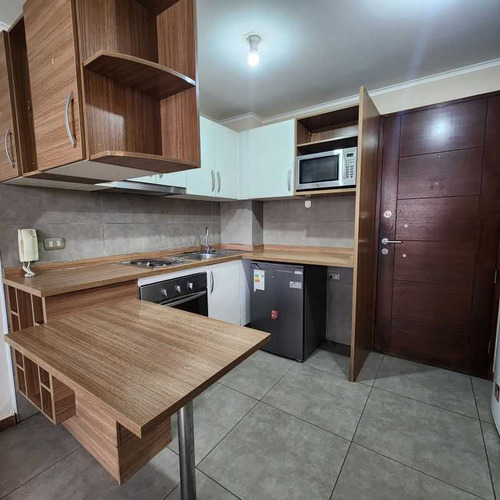 Arriendo Lindo Y Cómodo Depto En S. Centro (99589)
