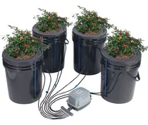 Comprar Sistema De Cultivo Hidropónico Cultivo En Aguas Profundas 4