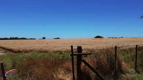 Imagen 1 de 15 de Campo Para Desarrollo Inmobiliario En Los Cardales - Reynolds Propiedades