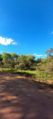 Terrenos En Cabildo-jujuy-catamarca-saavedra, Toay