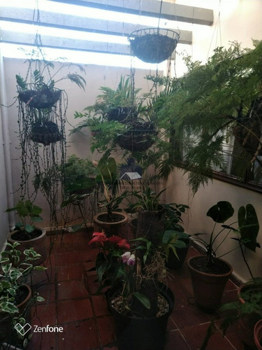 Casa-padrao-para-venda-em-bosque-da-saude-sao-jose-do-rio-preto-sp - 2019222