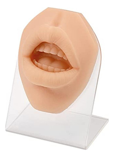 Modelo De Perforación De Labios De Silicón Suave Con Soporte