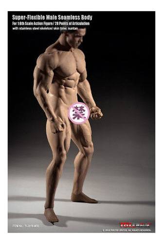 Jj Modelo De Cuerpo Musculoso Tbleague Phicen De Hombre 1/6