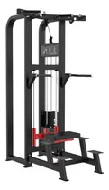 Comprar Maquina De Dominadas Y Fondos Asistidos. Dorsalera. Triceps.