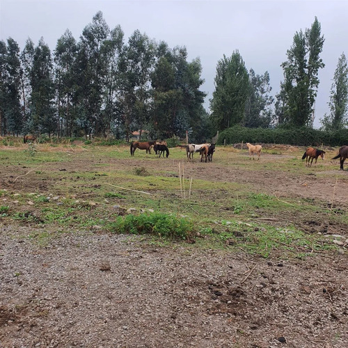 Terreno Construccion  En Venta En San Fernando