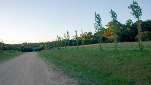 Imagen 5 de 5 de Venta De Lote En Punta Ballena, Maldonado - Los Tordillos
