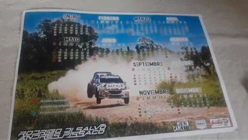 Maxi Rally Peugeot 208