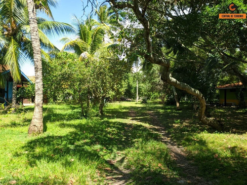 Imagem 7 de 12 de Terreno Em Lauro De Freitas - Te00363 - 68525992