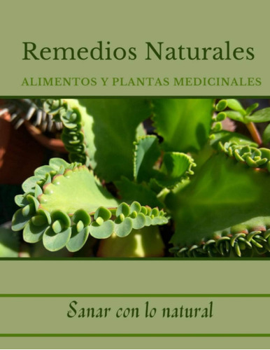 Libro: Remedios Naturales / Alimentos Y Plantas Medicinales: