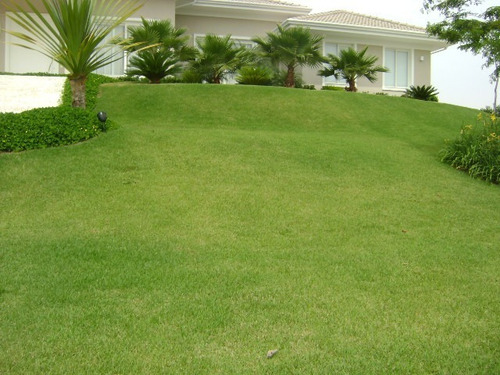 Fertilizante Grama Bermuda 1l Rende 200 Litros De Calda.