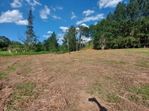 Imagem 13 de 30 de 03o-terreno A Venda Em Igarata