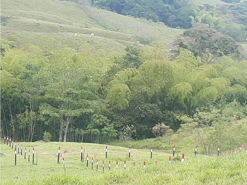 Lotes Venecia, Reserva Cámbulos Se Vende