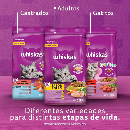 Alimento Whiskas 1+ Whiskas Gatos para gato adulto sabor pollo en bolsa de 10 kg