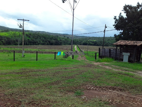 Imagem 5 de 15 de Fazenda - Zona Rural - Ref: 3829 - V-mta3829