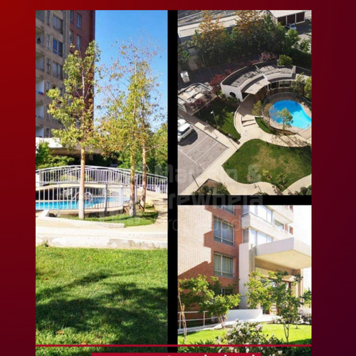 Arriendo Departamento 2d+1b. Comuna De Ñuñoa. Codigo #106