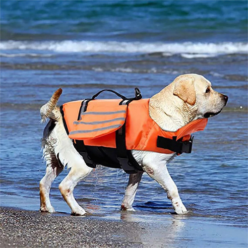 Chaleco Salvavidas Para Perro Traje Baño Flotación Portátil