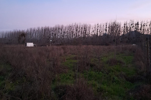 En Venta Terreno Plano De 5000 M2 Con Luz Y Agua En Coltauco