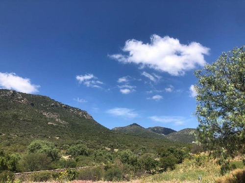 Imagen 1 de 3 de En Venta Terreno En Vergel De La Peña, Bernal