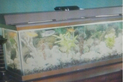 Filtro Cascada, Aquarium  1mx 25 X23 Ctm Y Accesorios.