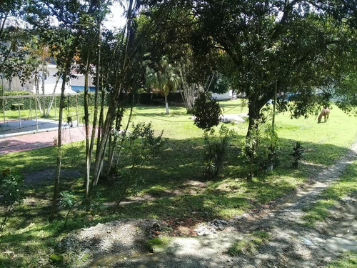Kitnet Com 1 Dormitório Para Alugar, 34 M² Por R$ 1.000,00/mês - Morro De Nova Cintra - Santos/sp - Kn0207