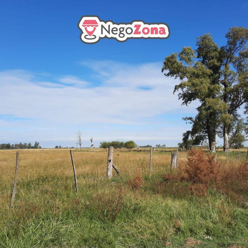 Imagen 1 de 6 de Campo Ganadero En Venta - Lincoln