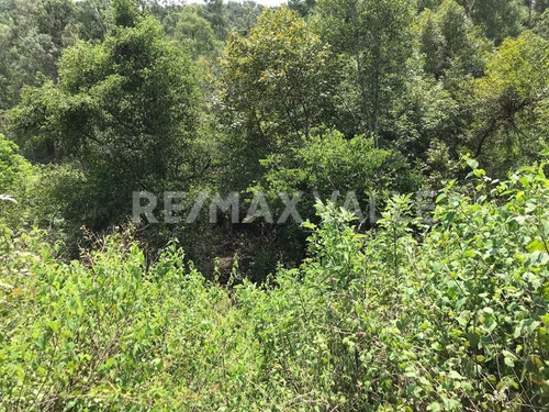 Imagen 7 de 14 de Terreno En Venta