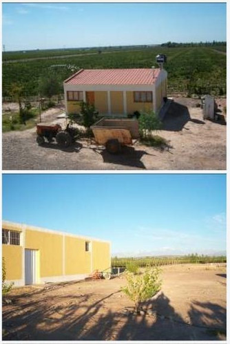 Imagen 2 de 4 de Bodega - Barrancas
