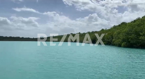 Fabulosos Terrenos A Pie De La Laguna De Siete Colores En Bacalar!!