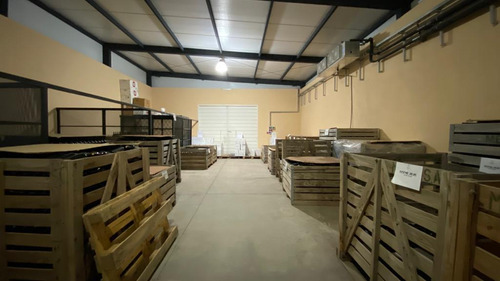 Venta | Bodega Con Viñedo | Maipú, Mendoza