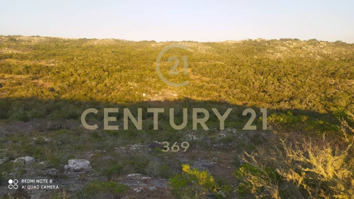 Imagen 7 de 19 de Se Vende Muy Lindo Campo Con Cañada !!