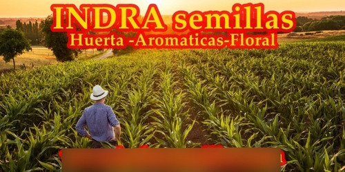 Semillas De Acelga Verde/a 1000uni. Peletizadas
